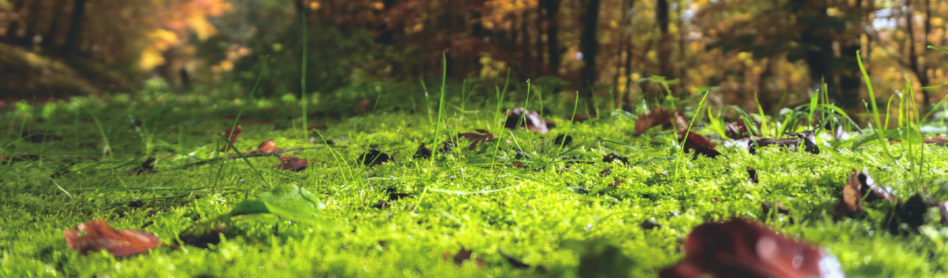 ОПТОВЫЙ ИНТЕРНЕТ-МАГАЗИН ОДЕЖДА ДЛЯ АКТИВНОГО ОТДЫХА